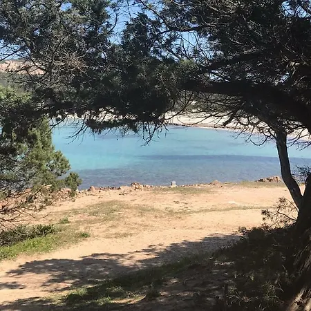Porto Cervo. Centro, In Con Piscina 别墅 切尔沃港