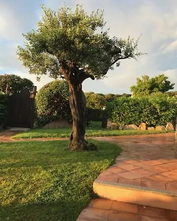 Porto Cervo. Centro, In Con Piscina 别墅 *